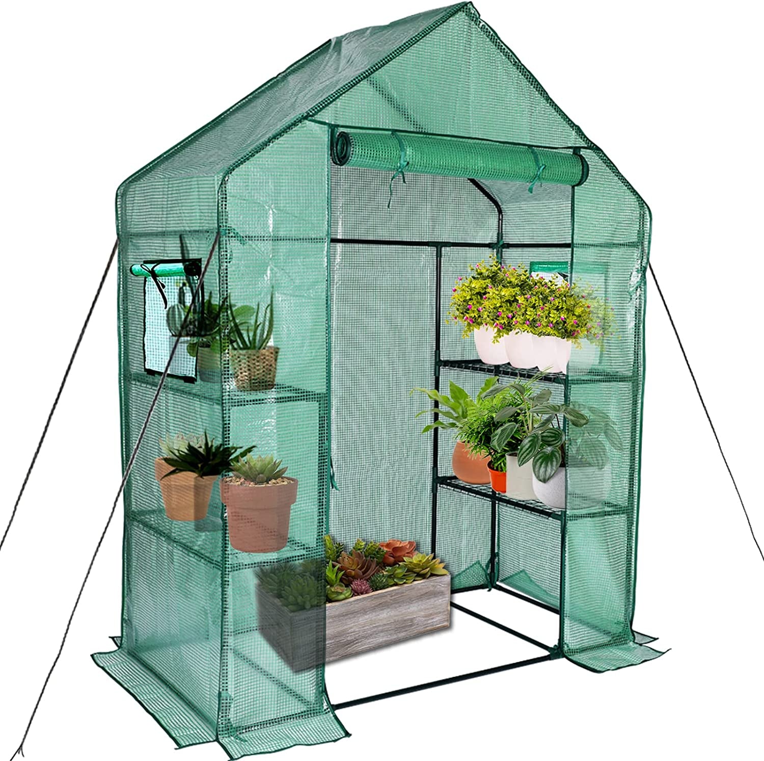 KOKSRY, KOKSRY Mini Greenhouse,Greenhouses for Outdoors,Portable Walk in Green House for Garden Plants That Need Frost Protection and Away from Pests, Animals(56"X30"X76")
