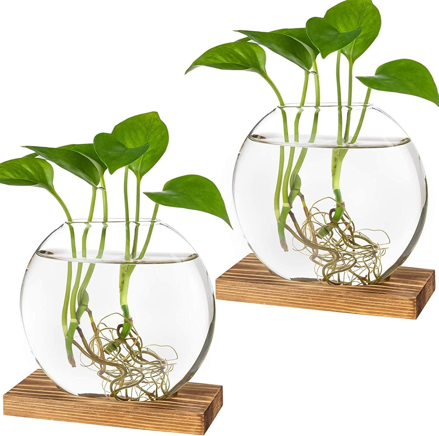 Kingbuy, Kingbuy Desktop round Glass Planter Terrarium Flower Vase with Wooden Stand for Propagation Small Hydroponic Plants Home Office Decor, 2 Pack, Brown