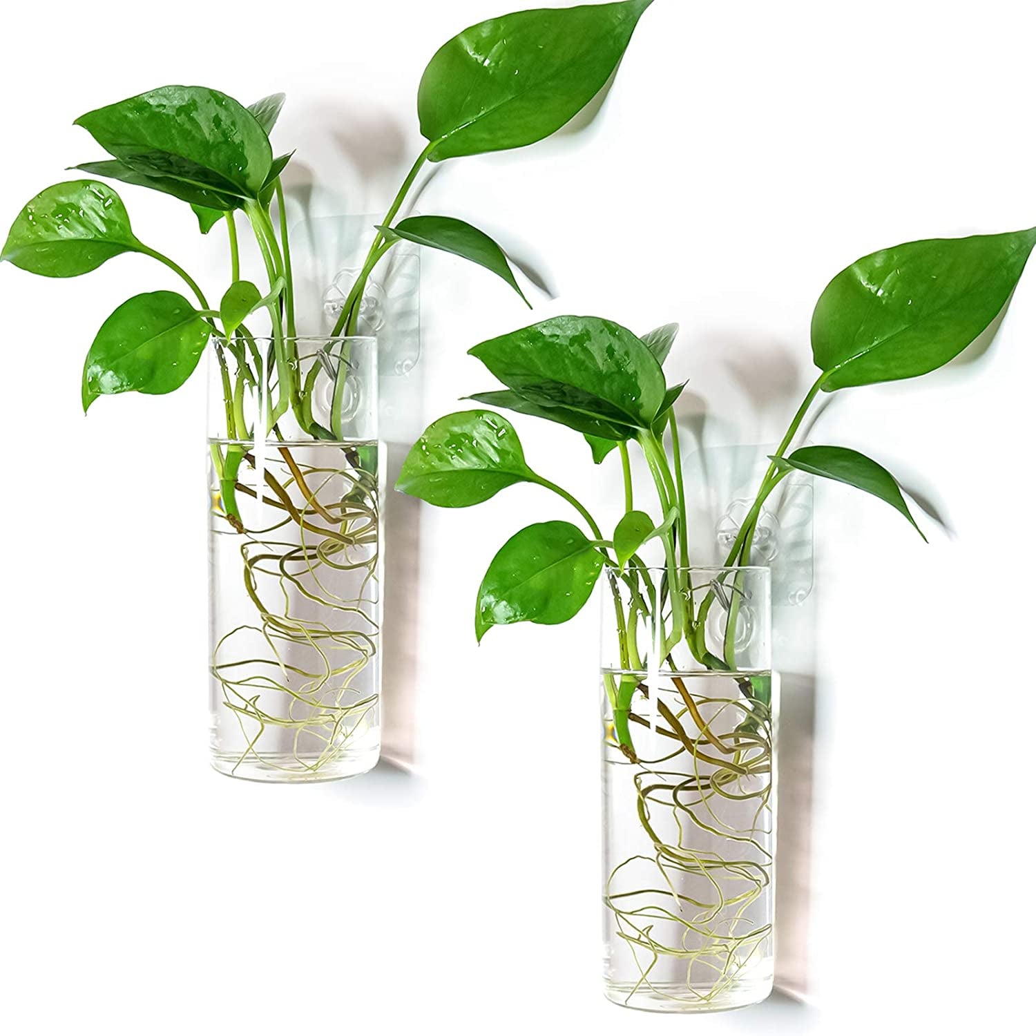 Kingbuy, Kingbuy Wall Hanging Glass Plant Terrarium Container Cylinder Shape.2Pcs Planter Air Decorations for Home Decor