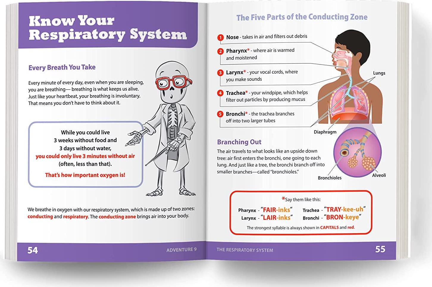 KNOW YOURSELF, Know Yourself - Systems of The Body: Adventure Series 12 Book Set, Human Anatomy for Kids, Best Interactive Activity Workbook to Teach How Your Body Works, STEM and STEAM, Ages 8-12