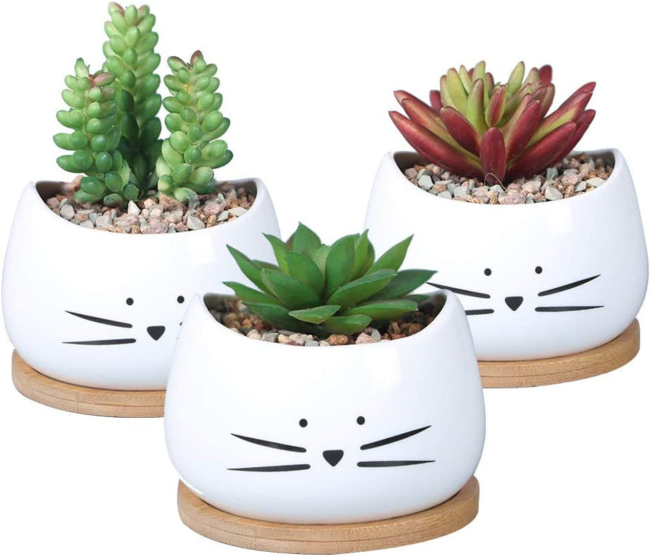 Koolkatkoo, Koolkatkoo 3.2 Inch Cute Cat Ceramic Succulent Planter Pots with Removable Saucer Unique Cactus Planters Porcelain Decorative Flower Pot for Cat Lovers Set of 3 White
