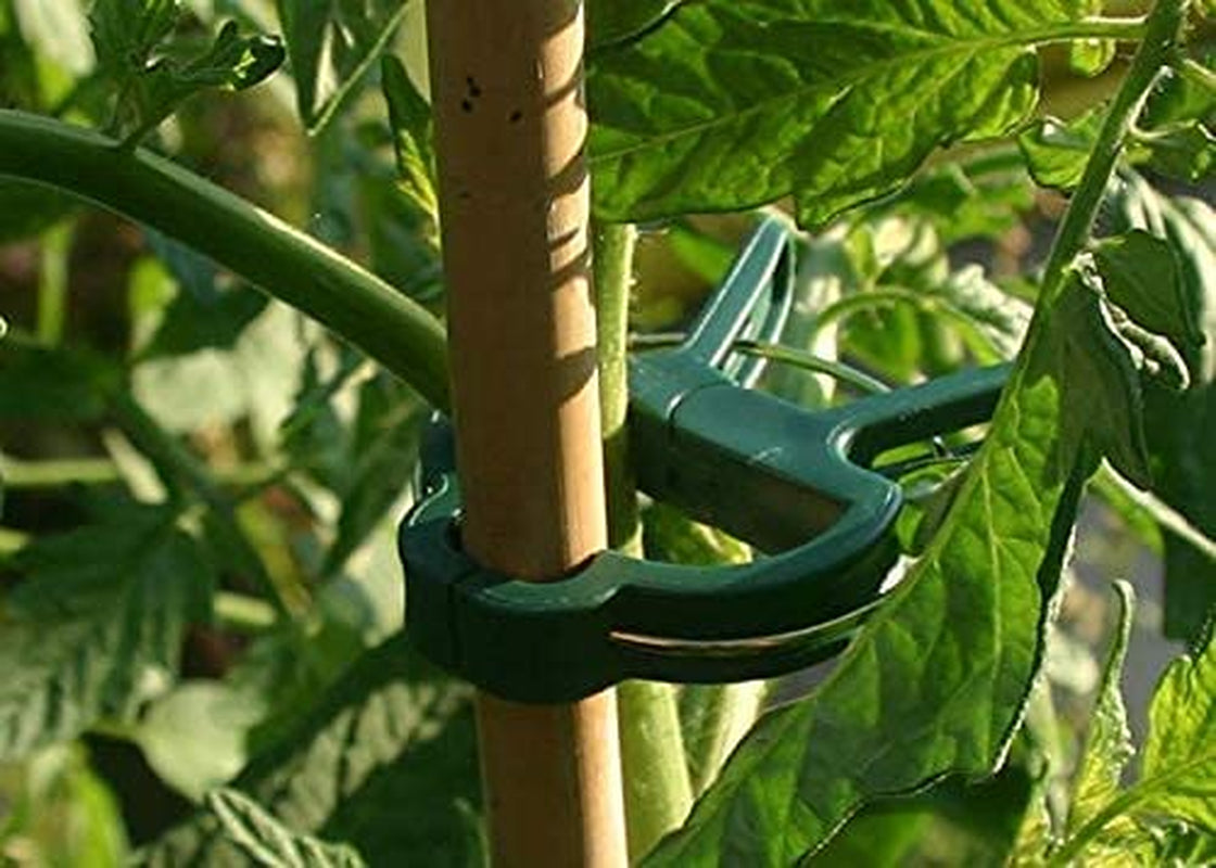 Kovot, Kovot 100 Pcs Plant Support Clips, Available in 2 Sizes: Small 1.25" - Large 1.75", Flower and Vine Clips, Garden Tomato Plant Support Clips for Supporting Stems, Vines Grow Upright (100 - Small)