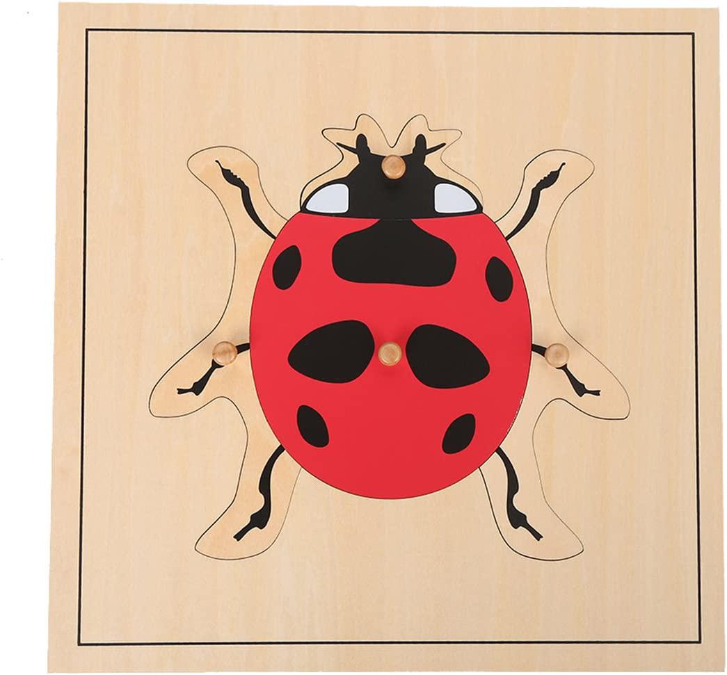 BrandName, LEADER JOY Montessori Nature Materials Ladybug Puzzle for Early Preschool Learning Toy