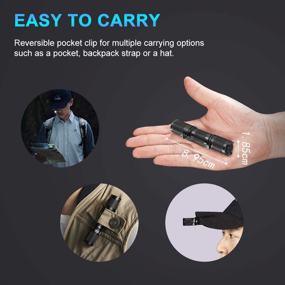 LUMINTOP, LUMINTOP Tool AA 2.0 LED Torch, Super Bright 650 Lumens Pocket-Sized Small Keyring EDC Flashlight, 5 Modes with Mode Memory IP68 Waterproof Powered by One AA for Camping Hiking Dog Walking Emergency