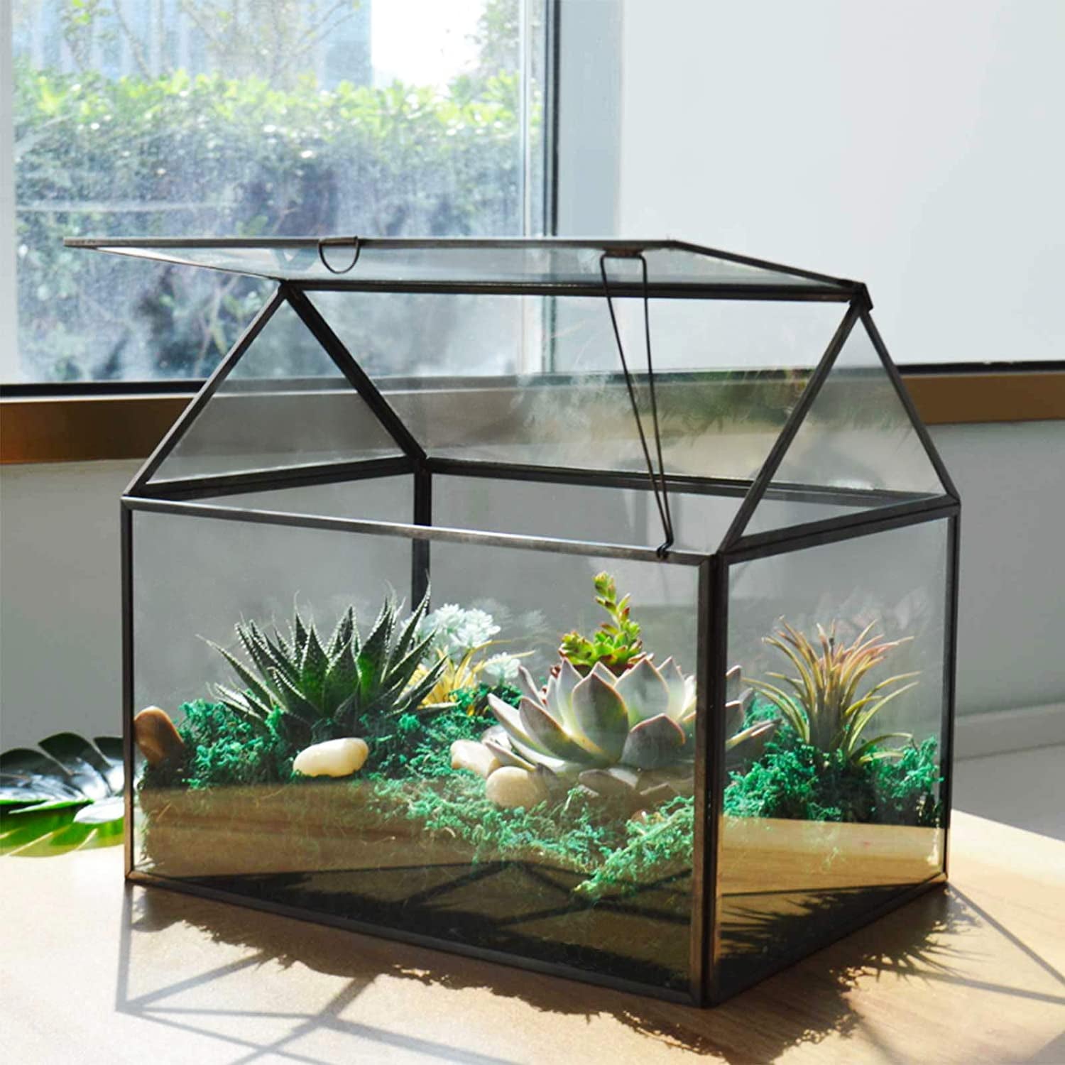YIMORENCE V, Large Tall Glass Plant Terrarium – House Succulent Glass Terrarium Kit with Lip and Tray Glass Greenhouse Terrarium for Plant 9.5”X5.7”X11.4”