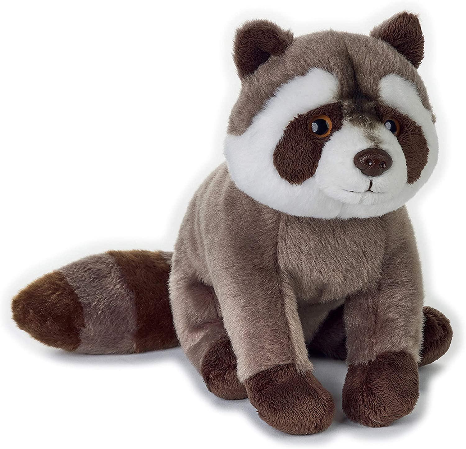 Venturelli, Lelly - National Geographic Basic Collection Plush, Raccoon
