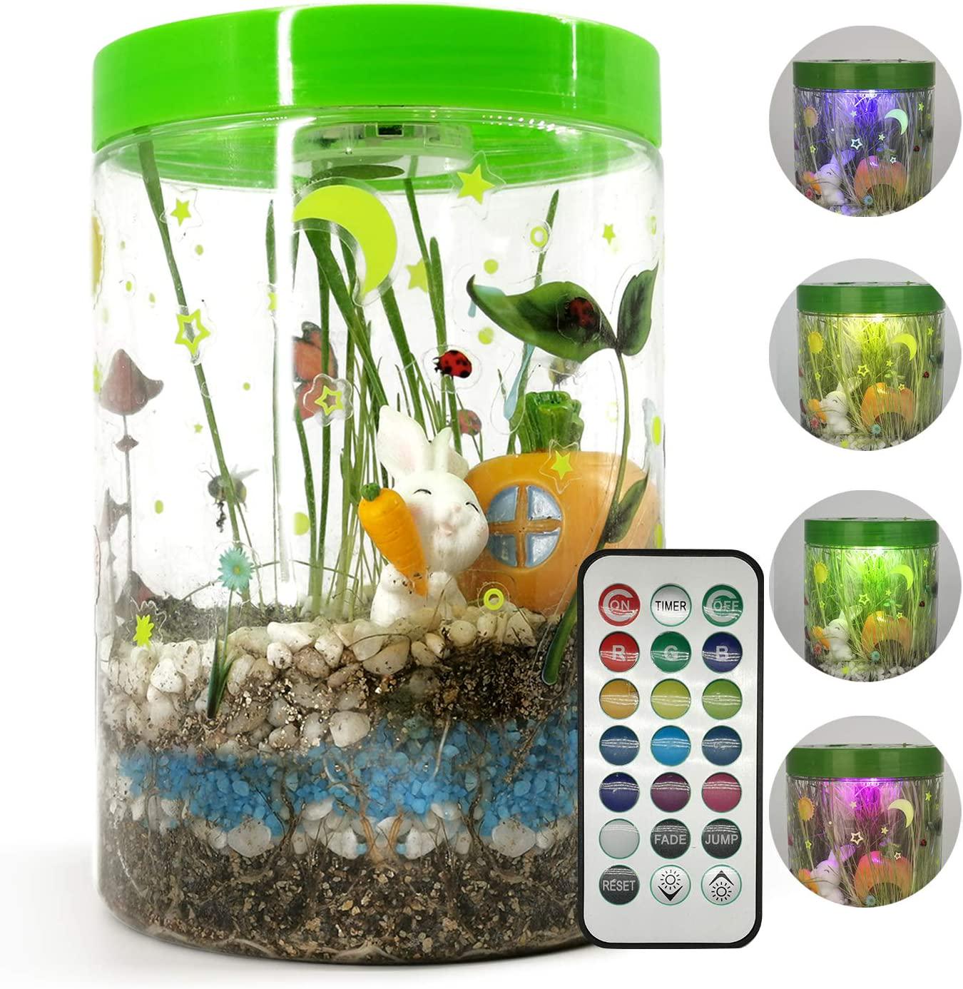 FEAYEA, Light-up Terrarium Kit for Kids with LED Light on Lid- STEM Educational DIY Science Project - Create Your Own Customized Mini Garden in a Jar That Glows at Night - for Boys and Girls Age 5-12 Kids Toys