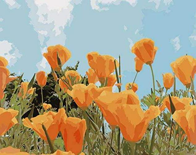 LikeyFactory, Likeyfactory Paint by Numbers Kit for Adults Kids on Canvas with Paintbrushes Color Acrylic DIY Drawing Premium Quality Colorwork Paintwork California Poppy Flowers 16x20inch
