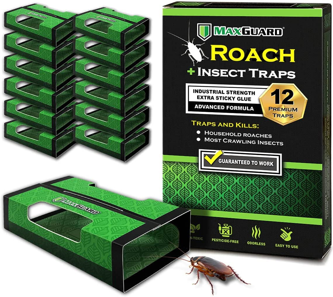 Maxguard, Maxguard Roach + Spider Traps (12 Box Traps) | Non-Toxic Extra Sticky Box Traps | Trap and Kill German Cockroach, American, and Oriental Roaches plus Crawling Bugs & Insects House |